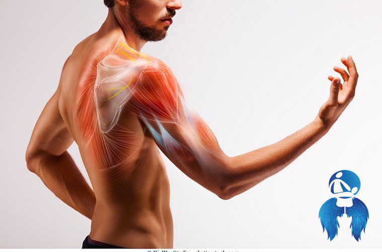 ¿Por qué nos duele el hombro al mover el brazo?